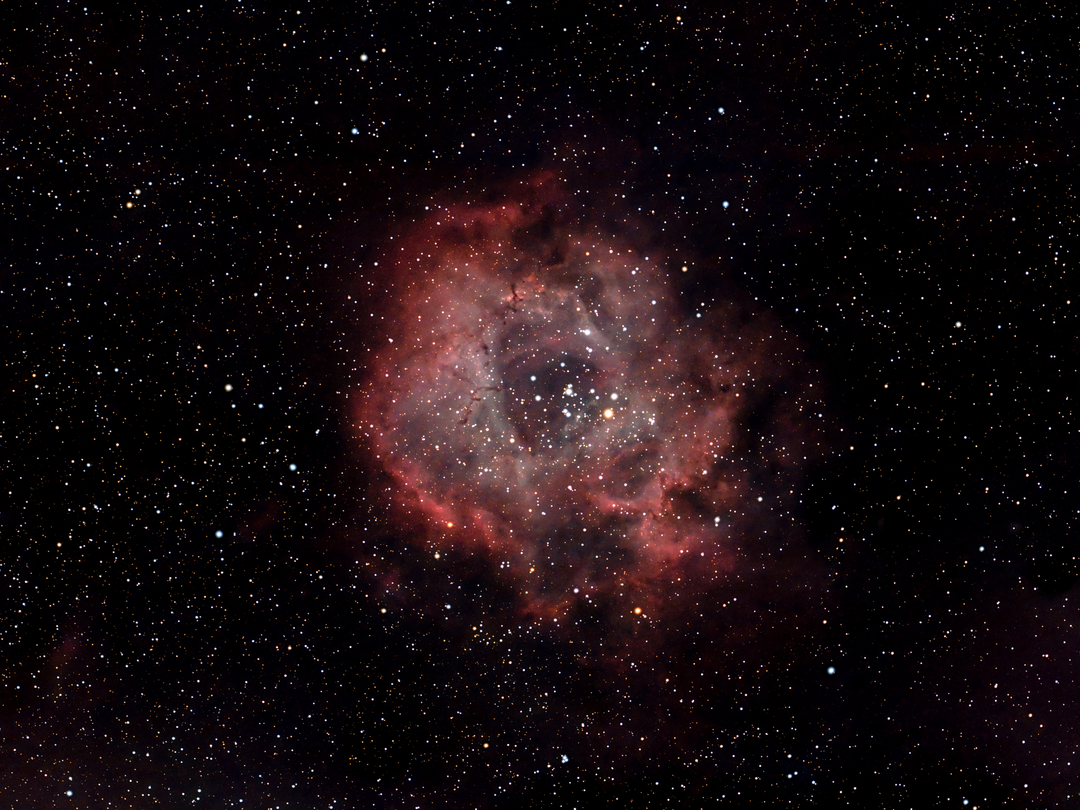 The Rosette nebula